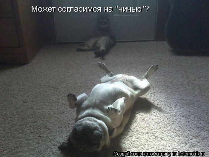Может согласимся на "ничью"?... Котоматрица: Может согласимся на "ничью"?