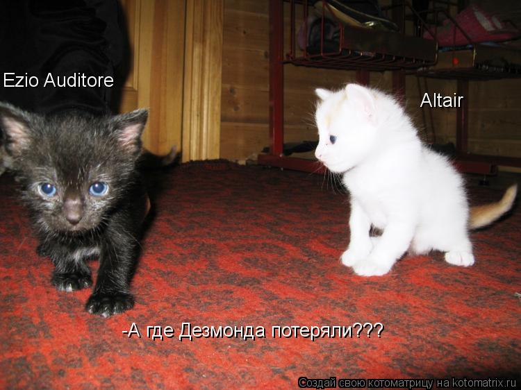 Ezio Auditore Altair -А где Дезмонда потеряли???... Котоматрица: Ezio Auditore Altair -А где Дезмонда потеряли???