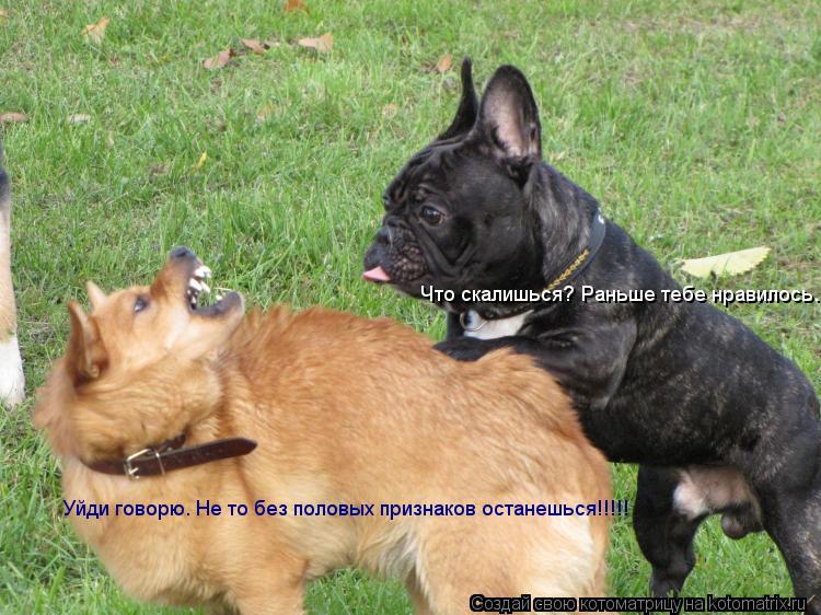 Уйди говорю. Не то без половых признаков останешься!!!!! Что скалишься? Раньше тебе нравилось.... Котоматрица: Уйди говорю. Не то без половых признаков останешься!!!!! Что скалишься? Раньше тебе нравилось.
