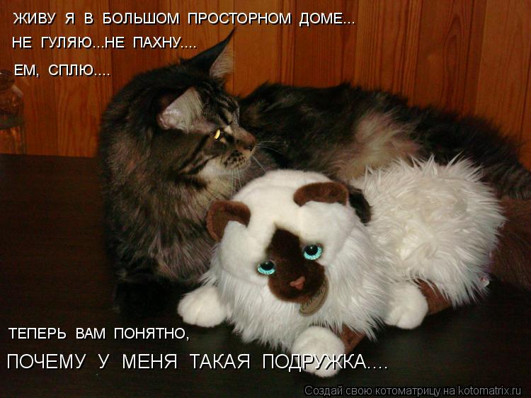 ЖИВУ Я В БОЛЬШОМ ПРОСТОРНОМ ДОМЕ... НЕ ГУЛЯЮ...НЕ ПАХНУ.... ЕМ, СПЛЮ.... ТЕПЕРЬ ВАМ ПОНЯТНО... Котоматрица: ЖИВУ Я В БОЛЬШОМ ПРОСТОРНОМ ДОМЕ... НЕ ГУЛЯЮ...НЕ ПАХНУ.... ЕМ, СПЛЮ.... ТЕПЕРЬ ВАМ ПОНЯТНО, ПОЧЕМУ У МЕНЯ ТАКАЯ ПОДРУЖКА....