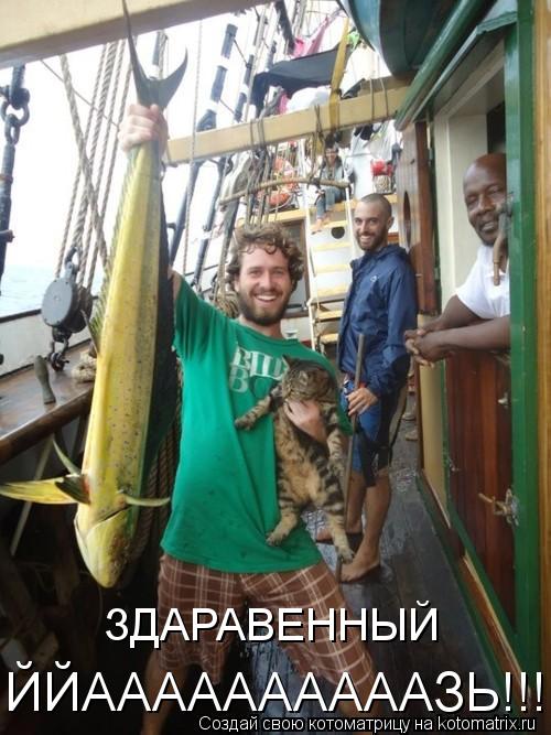 ЗДАРАВЕННЫЙ ЙЙААААААААААЗЬ!!!... Котоматрица: ЗДАРАВЕННЫЙ ЙЙААААААААААЗЬ!!!