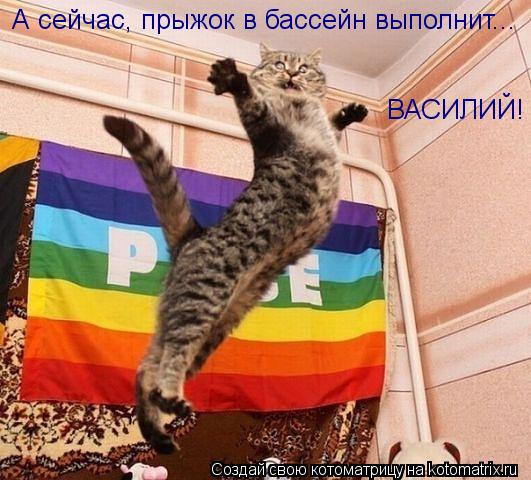 А сейчас, прыжок в бассейн выполнит... ВАСИЛИЙ!... Котоматрица: А сейчас, прыжок в бассейн выполнит... ВАСИЛИЙ!