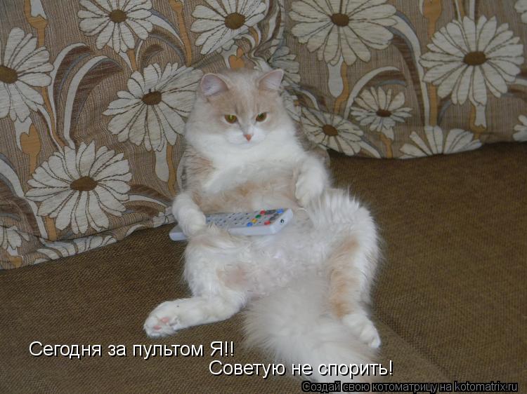 Сегодня за пультом Я!! Советую не спорить!... Котоматрица: Сегодня за пультом Я!! Советую не спорить!