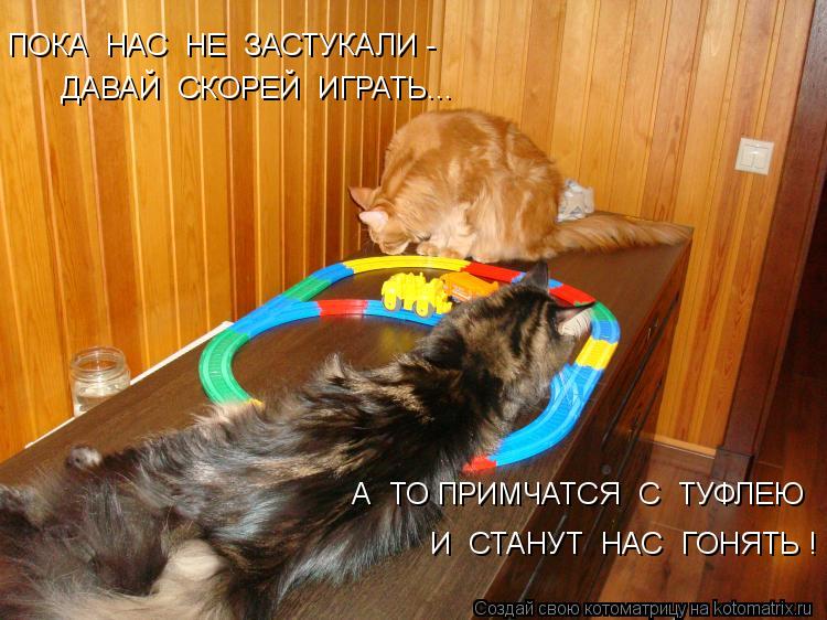 ПОКА НАС НЕ ЗАСТУКАЛИ - ДАВАЙ СКОРЕЙ ИГРАТЬ... А ТО ПРИМЧАТСЯ С ТУФЛЕЮ И СТАНУТ НАС ГОНЯТЬ... Котоматрица: ПОКА НАС НЕ ЗАСТУКАЛИ - ДАВАЙ СКОРЕЙ ИГРАТЬ... А ТО ПРИМЧАТСЯ С ТУФЛЕЮ И СТАНУТ НАС ГОНЯТЬ !