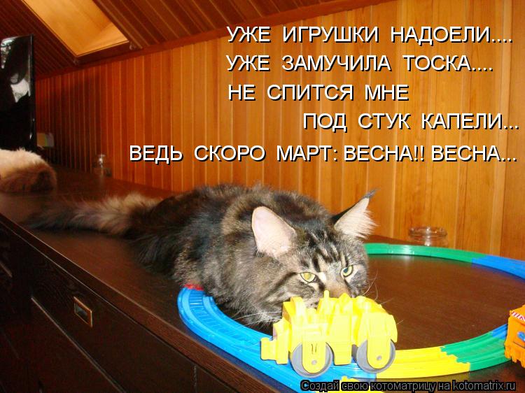 УЖЕ ИГРУШКИ НАДОЕЛИ.... УЖЕ ЗАМУЧИЛА ТОСКА.... НЕ СПИТСЯ МНЕ ПОД СТУК КАПЕЛИ... ВЕДЬ СКОРО ... Котоматрица: УЖЕ ИГРУШКИ НАДОЕЛИ.... УЖЕ ЗАМУЧИЛА ТОСКА.... НЕ СПИТСЯ МНЕ ПОД СТУК КАПЕЛИ... ВЕДЬ СКОРО МАРТ: ВЕСНА!! ВЕСНА...