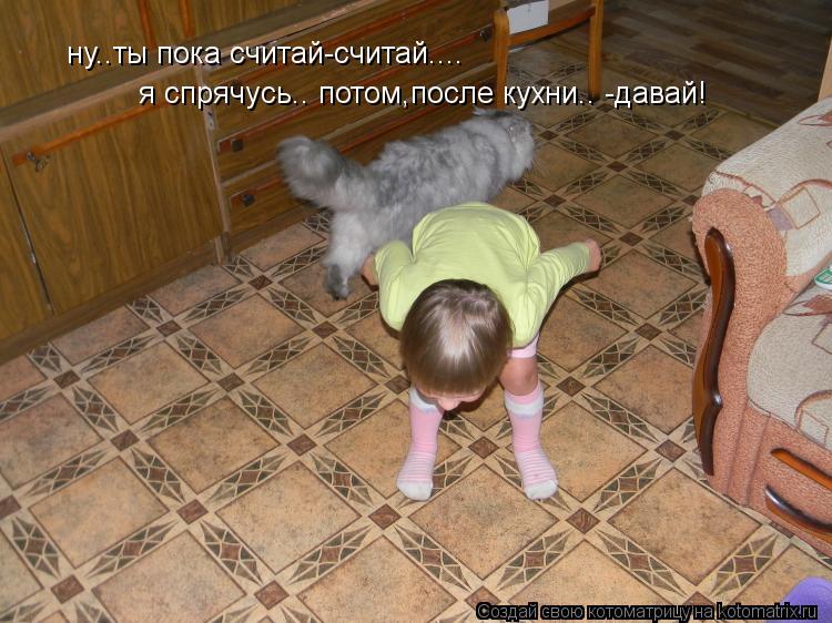 ну..ты пока считай-считай.... я спрячусь.. потом,после кухни.. -давай!... Котоматрица: ну..ты пока считай-считай.... я спрячусь.. потом,после кухни.. -давай!