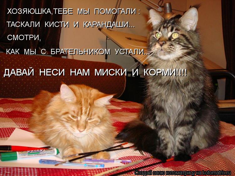ХОЗЯЮШКА,ТЕБЕ МЫ ПОМОГАЛИ : ТАСКАЛИ КИСТИ И КАРАНДАШИ... СМОТРИ, КАК МЫ С БРАТЕЛЬНИКОМ УСТАЛ... Котоматрица: ХОЗЯЮШКА,ТЕБЕ МЫ ПОМОГАЛИ : ТАСКАЛИ КИСТИ И КАРАНДАШИ... СМОТРИ, КАК МЫ С БРАТЕЛЬНИКОМ УСТАЛИ... ДАВАЙ НЕСИ НАМ МИСКИ И КОРМИ!!!!