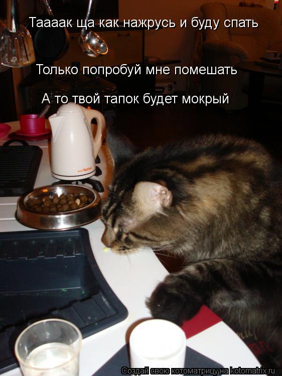 Таааак ща как нажрусь и буду спать Только попробуй мне помешать А то твой тапок будет мокрый... Котоматрица: Таааак ща как нажрусь и буду спать Только попробуй мне помешать А то твой тапок будет мокрый