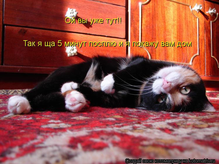 Ой вы уже тут!! Так я ща 5 минут посплю и я покажу вам дом... Котоматрица: Ой вы уже тут!! Так я ща 5 минут посплю и я покажу вам дом