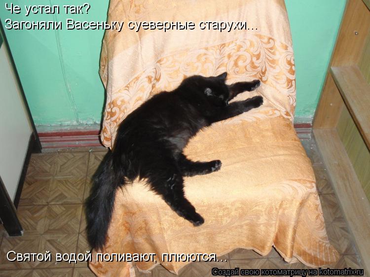 Че устал так? Загоняли Васеньку суеверные старухи... Святой водой поливают, плюются...... Котоматрица: Че устал так? Загоняли Васеньку суеверные старухи... Святой водой поливают, плюются...