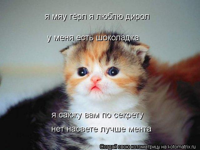 я мяу гёрл я люблю дирол у меня есть шоколадка я сакжу вам по секрету нет насвете лучше мента... Котоматрица: я мяу гёрл я люблю дирол у меня есть шоколадка я сакжу вам по секрету нет насвете лучше мента