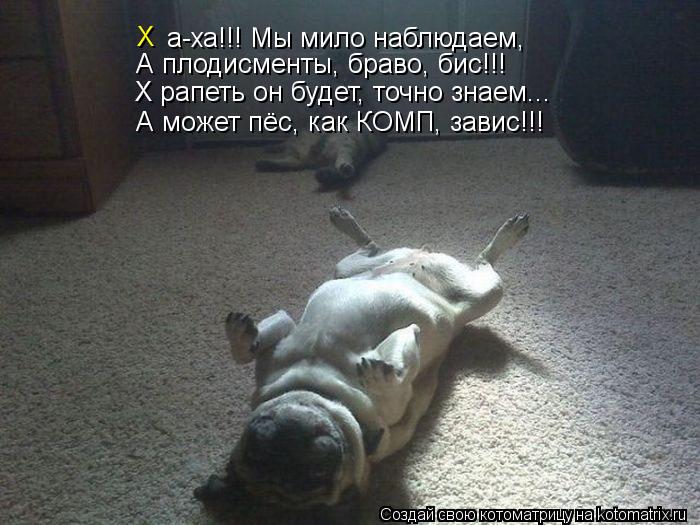 Х а-ха!!! Мы мило наблюдаем, А плодисменты, браво, бис!!! Х рапеть он будет, точно знаем... А может п... Котоматрица: Х а-ха!!! Мы мило наблюдаем, А плодисменты, браво, бис!!! Х рапеть он будет, точно знаем... А может пёс, как КОМП, завис!!!