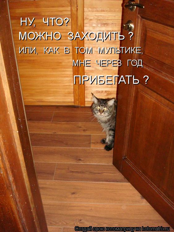 НУ, ЧТО? МОЖНО ЗАХОДИТЬ ? ИЛИ, КАК В ТОМ МУЛЬТИКЕ, МНЕ ЧЕРЕЗ ГОД ПРИБЕГАТЬ ?... Котоматрица: НУ, ЧТО? МОЖНО ЗАХОДИТЬ ? ИЛИ, КАК В ТОМ МУЛЬТИКЕ, МНЕ ЧЕРЕЗ ГОД ПРИБЕГАТЬ ?