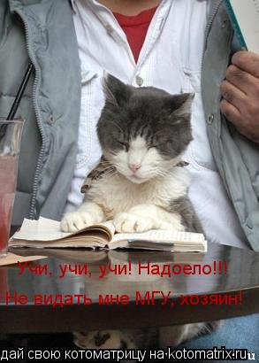 Учи, учи, учи! Надоело!!! Не видать мне МГУ, хозяин!... Котоматрица: Учи, учи, учи! Надоело!!! Не видать мне МГУ, хозяин!