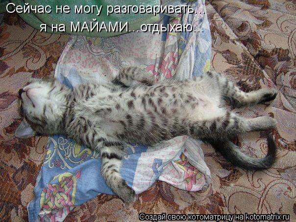 Сейчас не могу разговаривать... я на МАЙАМИ...отдыхаю...... Котоматрица: Сейчас не могу разговаривать... я на МАЙАМИ...отдыхаю...
