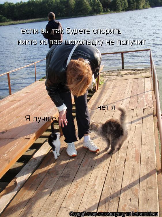 Я лучше нет я если вы так будете спорить никто из вас шоколадку не получит... Котоматрица: Я лучше нет я если вы так будете спорить никто из вас шоколадку не получит