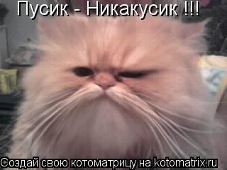 Котоматрица: Пусик - Никакусик !!!