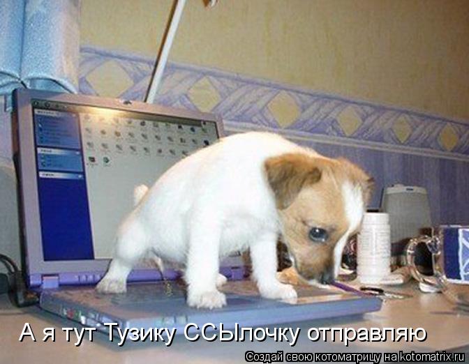 А я тут Тузику ССЫлочку отправляю... Котоматрица: А я тут Тузику ССЫлочку отправляю