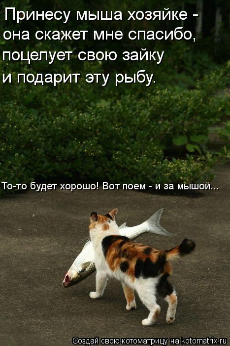 Котоматрица: Принесу мыша хозяйке - она скажет мне спасибо, поцелует свою зайку и подарит эту рыбу. То-то будет хорошо! Вот поем - и за мышой...