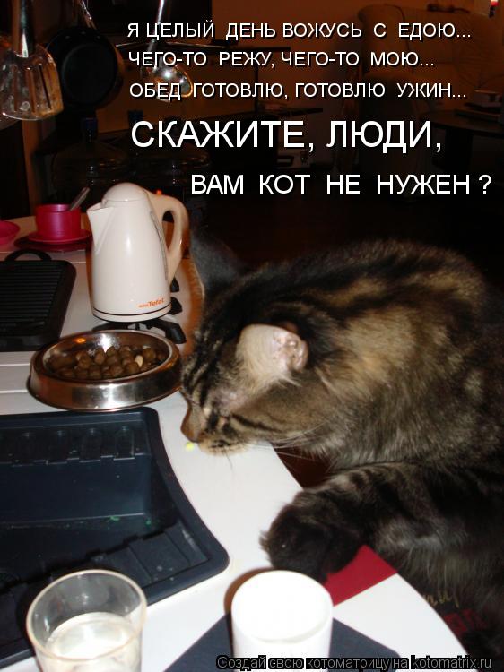 Я ЦЕЛЫЙ ДЕНЬ ВОЖУСЬ С ЕДОЮ... ЧЕГО-ТО РЕЖУ, ЧЕГО-ТО МОЮ... ОБЕД ГОТОВЛЮ, ГОТОВЛЮ УЖИН... СКАЖИ... Котоматрица: Я ЦЕЛЫЙ ДЕНЬ ВОЖУСЬ С ЕДОЮ... ЧЕГО-ТО РЕЖУ, ЧЕГО-ТО МОЮ... ОБЕД ГОТОВЛЮ, ГОТОВЛЮ УЖИН... СКАЖИТЕ, ЛЮДИ, ВАМ КОТ НЕ НУЖЕН ?