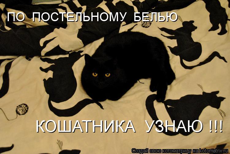 Котоматрица: ПО  ПОСТЕЛЬНОМУ  БЕЛЬЮ КОШАТНИКА  УЗНАЮ !!!