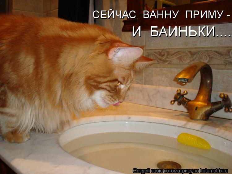 СЕЙЧАС ВАННУ ПРИМУ - И БАИНЬКИ....... Котоматрица: СЕЙЧАС ВАННУ ПРИМУ - И БАИНЬКИ....