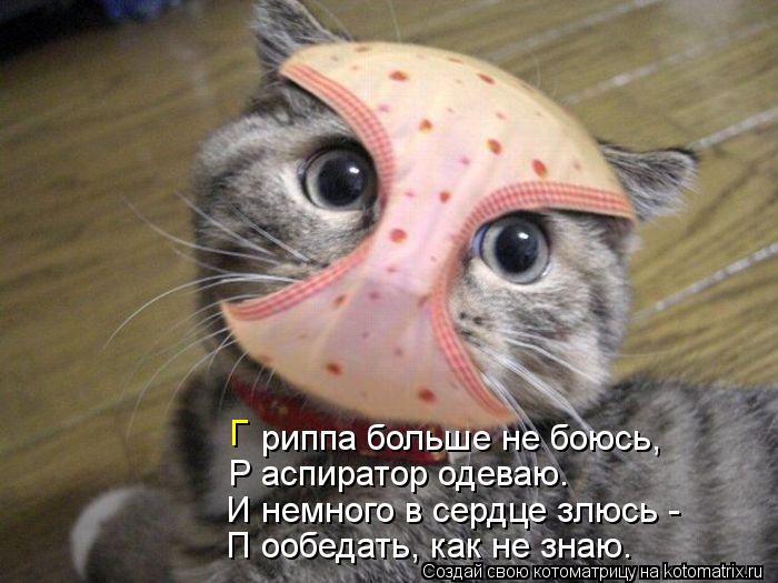 Г риппа больше не боюсь, Р аспиратор одеваю. П ообедать, как не знаю. И немного в сердце злюсь -... Котоматрица: Г риппа больше не боюсь, Р аспиратор одеваю. П ообедать, как не знаю. И немного в сердце злюсь -
