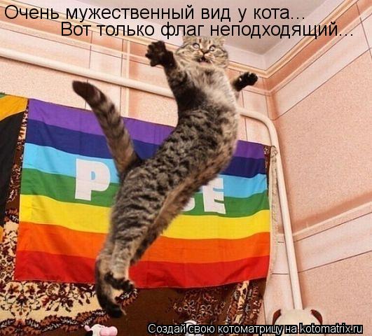 Очень мужественный вид у кота... Вот только флаг неподходящий...... Котоматрица: Очень мужественный вид у кота... Вот только флаг неподходящий...