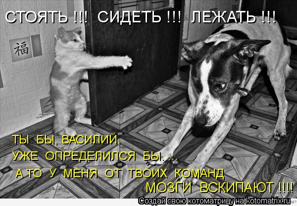СТОЯТЬ !!! СИДЕТЬ !!! ЛЕЖАТЬ !!! МОЗГИ ВСКИПАЮТ !!!! ТЫ БЫ, ВАСИЛИЙ, УЖЕ ОПРЕДЕЛИЛСЯ БЫ..... А... Котоматрица: СТОЯТЬ !!! СИДЕТЬ !!! ЛЕЖАТЬ !!! МОЗГИ ВСКИПАЮТ !!!! ТЫ БЫ, ВАСИЛИЙ, УЖЕ ОПРЕДЕЛИЛСЯ БЫ..... А ТО У МЕНЯ ОТ ТВОИХ КОМАНД