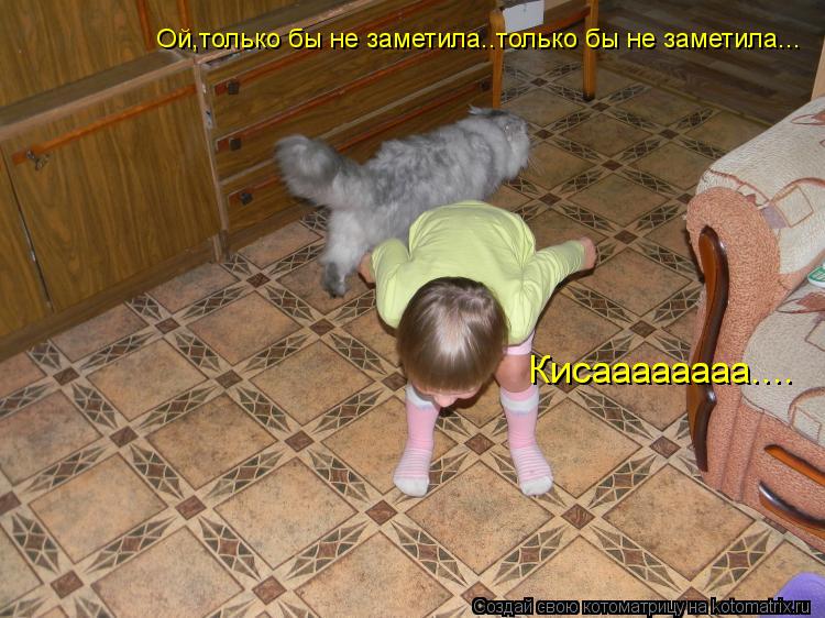 Кисаааааааа.... Ой,только бы не заметила..только бы не заметила...... Котоматрица: Кисаааааааа.... Ой,только бы не заметила..только бы не заметила...