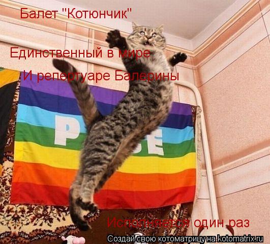 Котоматрица: Балет "Котюнчик" Единственный в мире И репертуаре Балерины Исполняется один раз