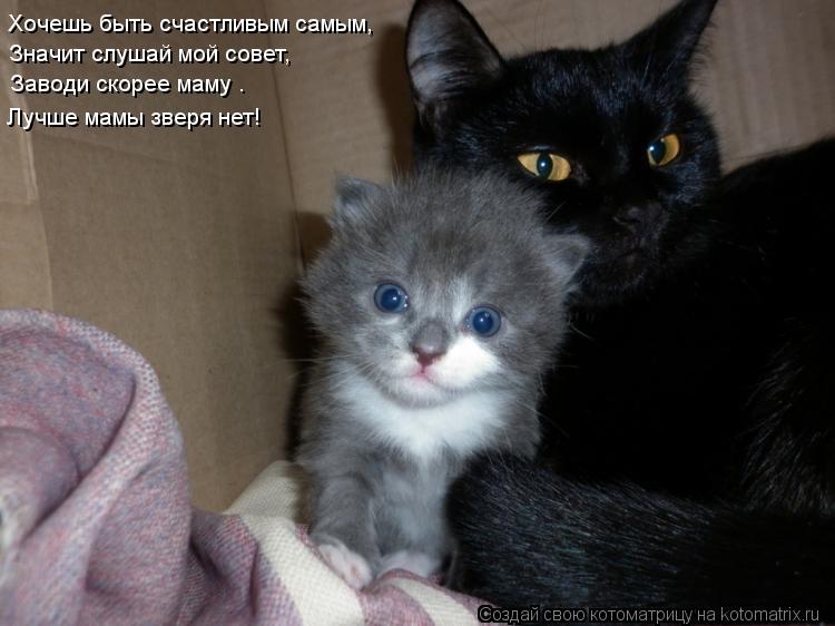 Хочешь быть счастливым самым, Значит слушай мой совет, Лучше мамы зверя нет! Заводи скорее маму –... Котоматрица: Хочешь быть счастливым самым, Значит слушай мой совет, Лучше мамы зверя нет! Заводи скорее маму –