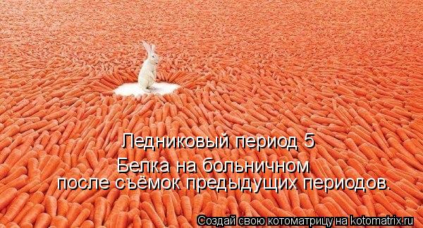 Ледниковый период 5 Белка на больничном после съёмок предыдущих периодов.... Котоматрица: Ледниковый период 5 Белка на больничном после съёмок предыдущих периодов.