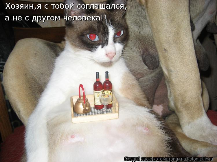 Хозяин,я с тобой соглашался, Хозяин,я с тобой соглашался, а не с другом человека!!... Котоматрица: Хозяин,я с тобой соглашался, Хозяин,я с тобой соглашался, а не с другом человека!!