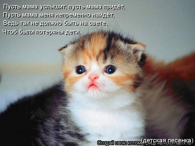 Пусть мама услышит, пусть мама придёт, Пусть мама меня непременно найдёт, Ведь так не должно быть н... Котоматрица: Пусть мама услышит, пусть мама придёт, Пусть мама меня непременно найдёт, Ведь так не должно быть на свете, Чтоб были потеряны дети. (детска