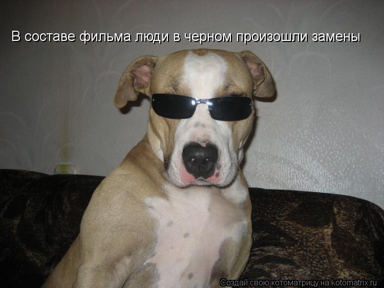 В составе фильма люди в черном произошли замены... Котоматрица: В составе фильма люди в черном произошли замены