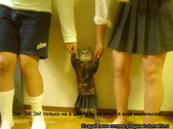 Эй! Эй! Эй! только не в школу ну за что!? я ещё маленькая!... Котоматрица: Эй! Эй! Эй! только не в школу ну за что!? я ещё маленькая!