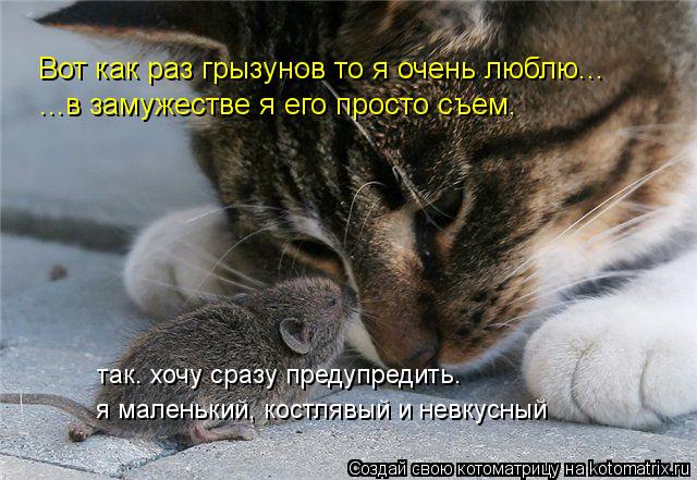 Вот как раз грызунов то я очень люблю... ...в замужестве я его просто съем. так. хочу сразу предупред... Котоматрица: Вот как раз грызунов то я очень люблю... ...в замужестве я его просто съем. так. хочу сразу предупредить. я маленький, костлявый и невкусный