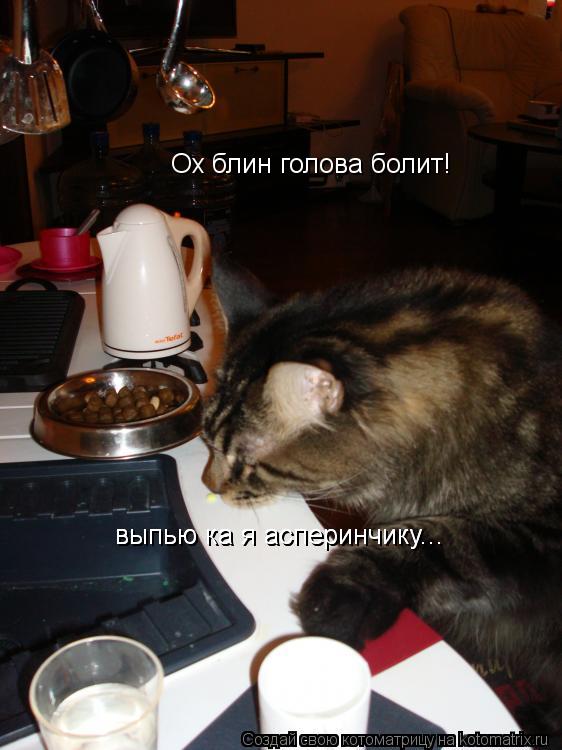 Ох блин голова болит! выпью ка я асперинчику... выпью ка я асперинчику...... Котоматрица: Ох блин голова болит! выпью ка я асперинчику... выпью ка я асперинчику...