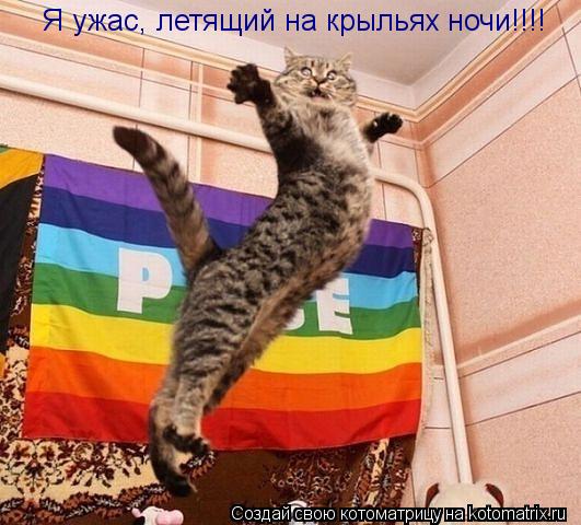 Я ужас, летящий на крыльях ночи!!!!... Котоматрица: Я ужас, летящий на крыльях ночи!!!!