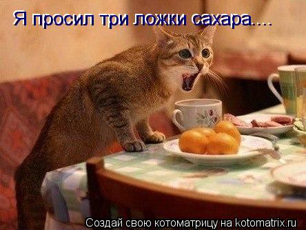 Я просил три ложки сахара.... Я просил три ложки сахара....... Котоматрица: Я просил три ложки сахара.... Я просил три ложки сахара....