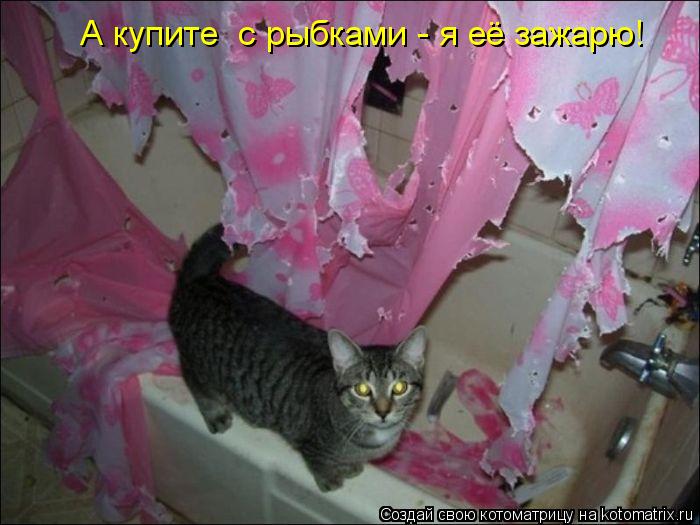 А купите с рыбками - я её зажарю!... Котоматрица: А купите с рыбками - я её зажарю!