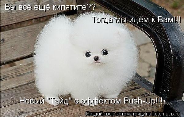 Вы всё ещё кипятите?? Тогда мы идём к Вам!!! Новый "Тайд" с эффектом Push-Up!!!... Котоматрица: Вы всё ещё кипятите?? Тогда мы идём к Вам!!! Новый "Тайд" с эффектом Push-Up!!!