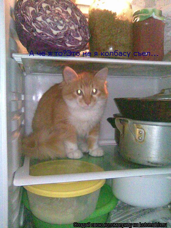 А чё я то?Это не я колбасу съел...... Котоматрица: А чё я то?Это не я колбасу съел...