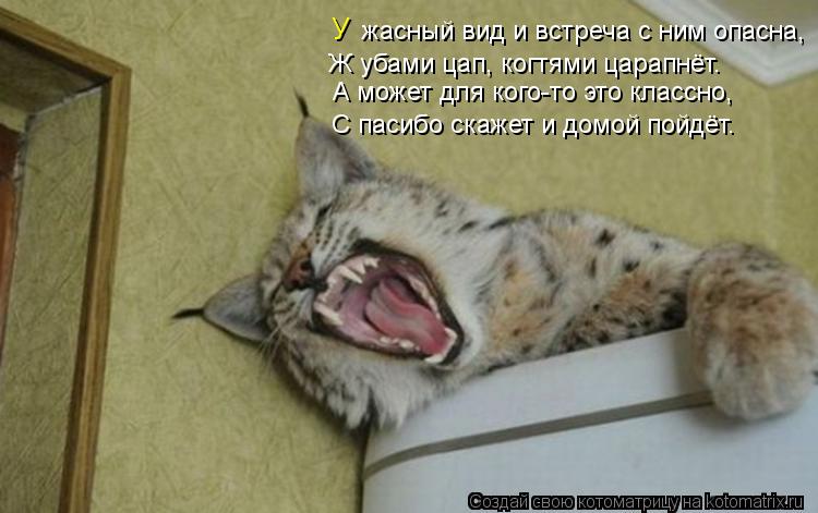 жасный вид и встреча с ним опасна, А может для кого-то это классно, С пасибо скажет и домой пойдёт. У... Котоматрица: жасный вид и встреча с ним опасна, А может для кого-то это классно, С пасибо скажет и домой пойдёт. У Ж убами цап, когтями царапнёт.