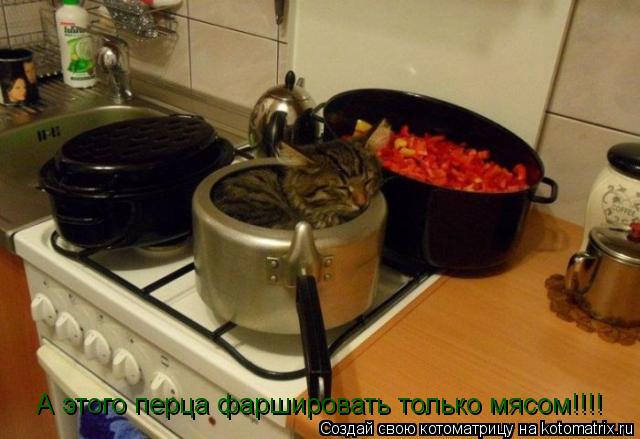 А этого перца фаршировать только мясом!!!!... Котоматрица: А этого перца фаршировать только мясом!!!!