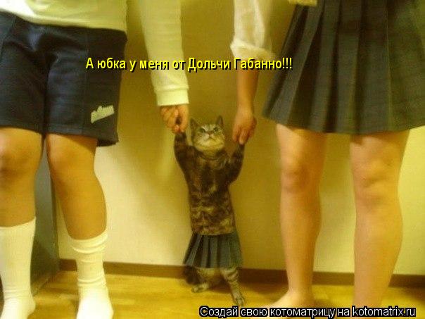 А юбка у меня от Дольчи Габанно!!!... Котоматрица: А юбка у меня от Дольчи Габанно!!!