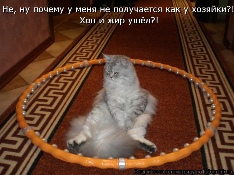 Не, ну почему у меня не получается как у хозяйки?! Хоп и жир ушёл?! Хоп и жир ушёл?! Хоп и жир ушёл?!... Котоматрица: Не, ну почему у меня не получается как у хозяйки?! Хоп и жир ушёл?! Хоп и жир ушёл?! Хоп и жир ушёл?!