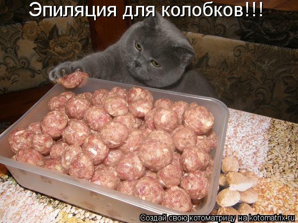 Эпиляция для колобков!!!... Котоматрица: Эпиляция для колобков!!!