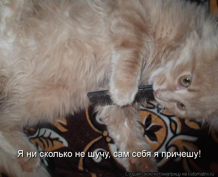 Я ни сколько не шучу, Я ни сколько не шучу, сам себя я причешу!... Котоматрица: Я ни сколько не шучу, Я ни сколько не шучу, сам себя я причешу!